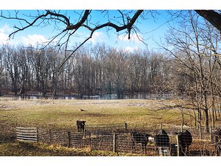 This rural acreage is surrounded by trees with Sugar Creek running through the southern edge of the property with abundant wildlife in the area.  Situated in extreme southern Clinton County, the property is in close proximity to Frankfort and Lebanon both.  Currently being used as cattle pasture; there is the possibility of a home site being built on the property with approval of Clinton County Area Plan and Board of Zoning.  Small cemetery located on the north side, see photos for more details.  

The only tax information will be on the parent parcels and won't be representative of what future taxes will be when this tract is surveyed off to new Buyer. - Clinton County Mini Farm & Potential Home Site